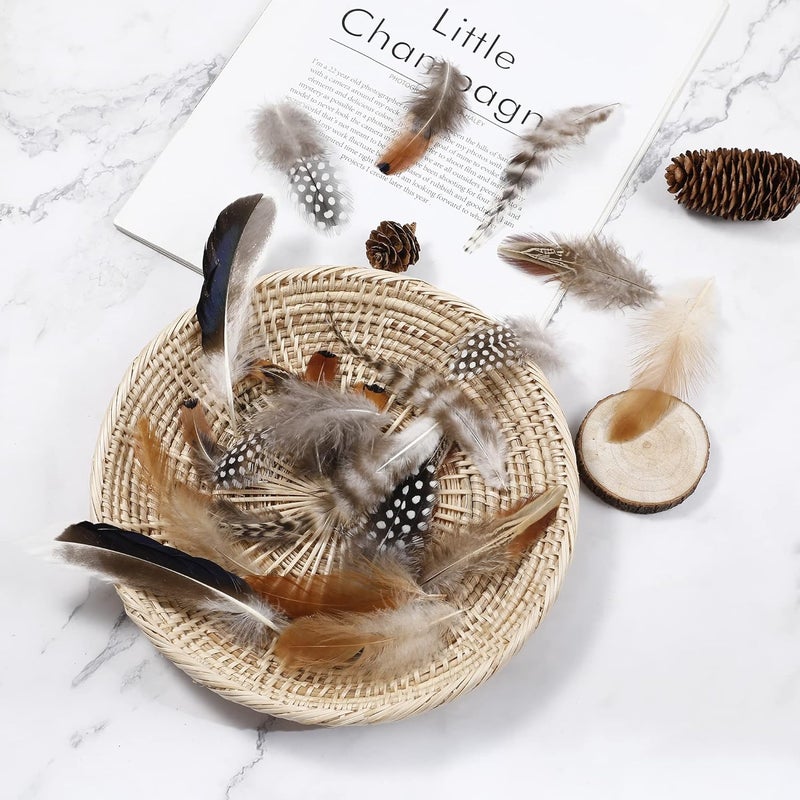 Larryhot Natural Pheasant Craft Feathers - 240 pcs 6 Style Mixed Feathers for Dream Catcher Supplies,Jewelry,Hats and Jewelry Accessories (Natural) - Image 2